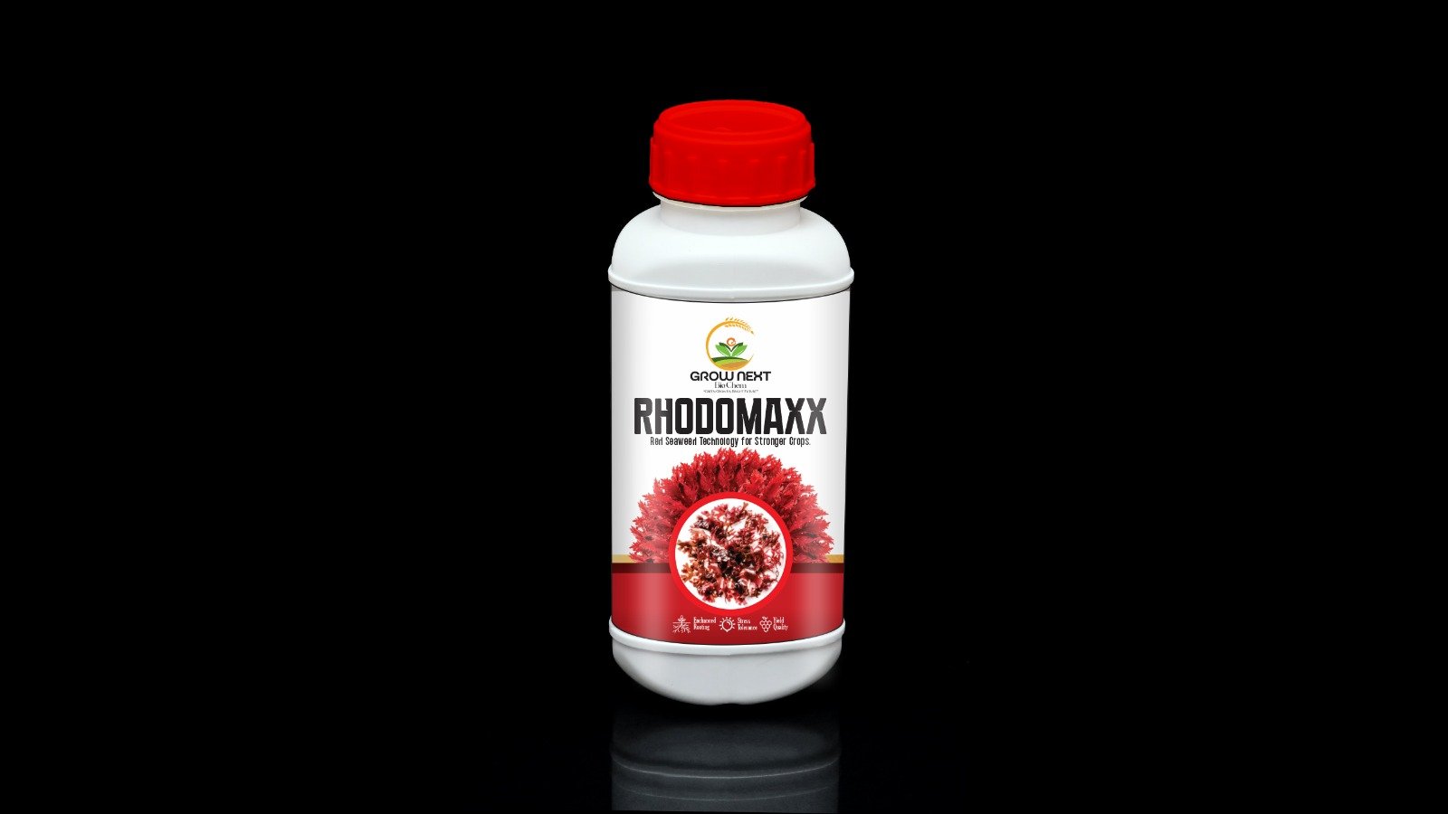 Rhodomaxx